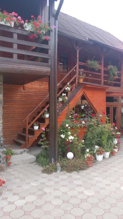 Pensiunea Liana Nemsa Exterior foto